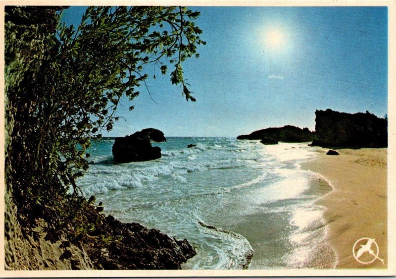 VINTAGE CONTINENTAL SIZE POSTCARD SOUTH SHORE BERMUDA POSTAGE LOADED MAILED 1984