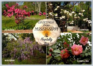 Flowering Plants, Greetings From Mississippi, Chrome Multiview Postcard, NOS