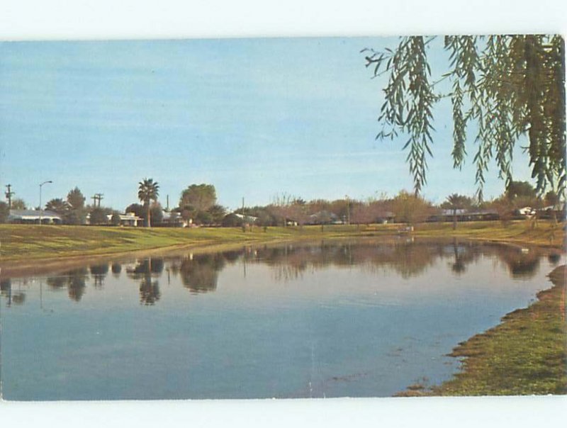 Pre-1980 LAKE SCENE Youngtown - Near Glendale & Phoenix Arizona AZ AE4088