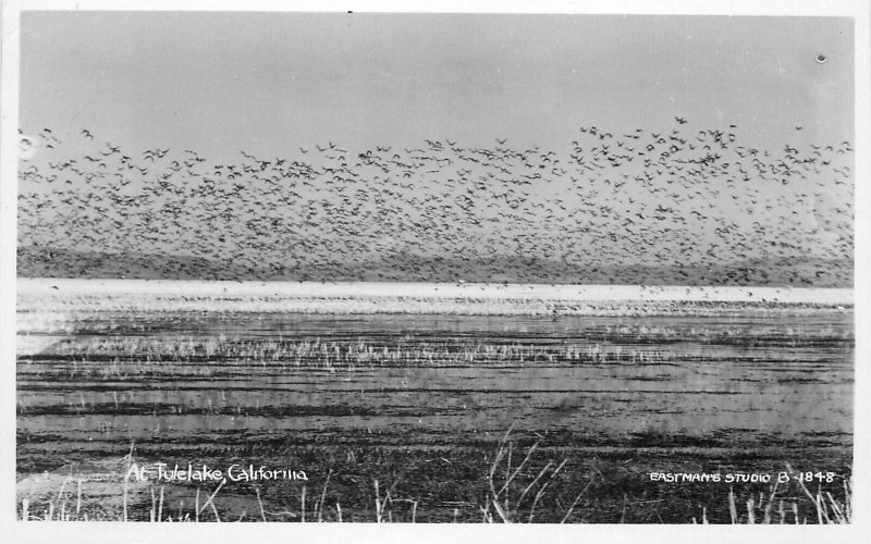 Postcard RPPC California Tulelake Eastman's 1930s  Siskiyou 23-2048