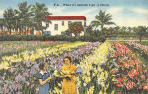 Florida FL  GLADIOLI TIME  Woman & Young Girl~Gladiolus Field  ca1940's Postcard