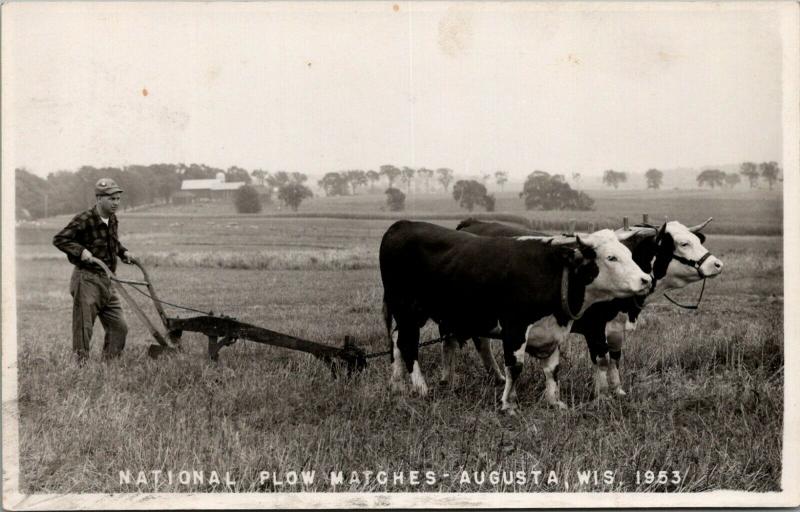 Augusta Wisconsin~National Plow Matches~Farmer Hand Plows~Pair Oxen~1953 RPPC 