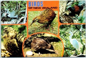Postcard - Birds of New Zealand 