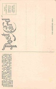 Sears Roebuck Mail Order Co Chicago Illinois 1906 postcard