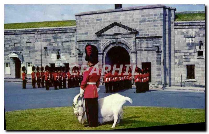 Postcard Modern Quebec Canada Chevre Bouc