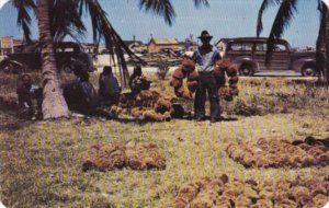 Florida Key West Sponge Auction