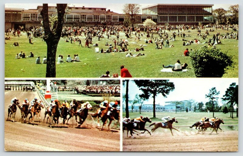 Hot Springs Arkansas~Horse Racing @ Oaklawn Jockey Club~Scores Relaxing~1960s  