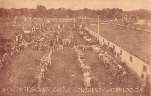 Waterloo Iowa Dairy Cattle Congress Birdseye View Antique Postcard K88851