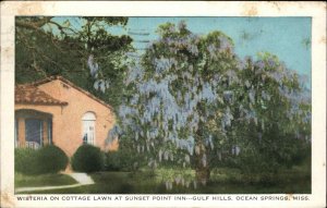 Ocean Springs Mississippi MS Sunset Point Inn Wisteria Vintage Postcard