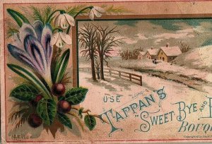 King & Co Tappan's Sweet Bye & Bye Bouquet Victorian Calling Card Brooklyn NY 