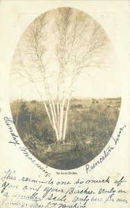 Princeton Massachusetts Seven Birches Inset 1906 RPPC Photo Postcard 21-8234