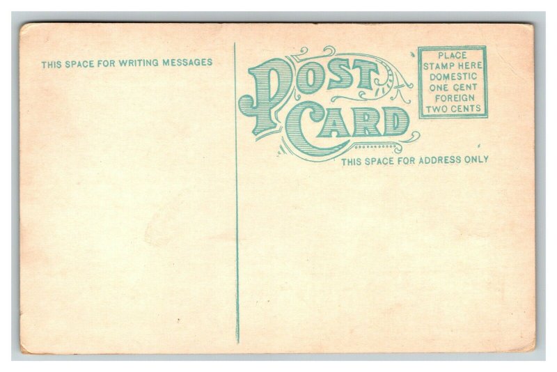 Vintage 1910's Postcard Fountain and Gardens Bronson Park Kalamazoo