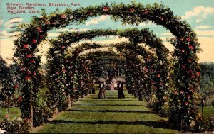 Connecticut Hartford Elizabeth Park Rose Garden Crimson Ramblers 1912