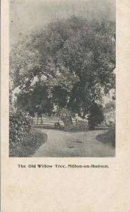 Milton on Hudson NY The Old Willow Tree UB NM UNUSED 