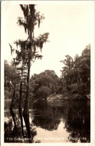 Florida White Springs The Suwannee River 1951 Real Photo