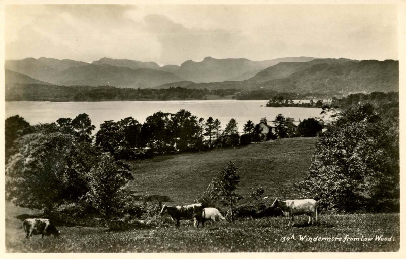 UK - England,  Windermere. View from Low Woods *RPPC