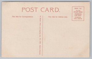 California~Seals on Native Rocks~Vintage Postcard