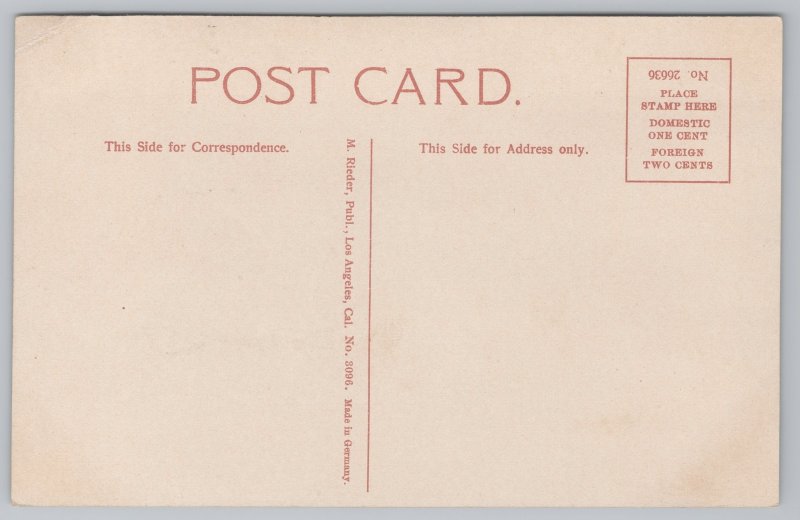 California~Seals on Native Rocks~Vintage Postcard