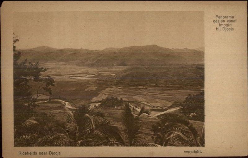 Rice Fields Near Djocja Indonesia c1910 Postcard