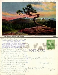 Lonesome Pine and Longs Peak, Estes Park, Colorado  (18221