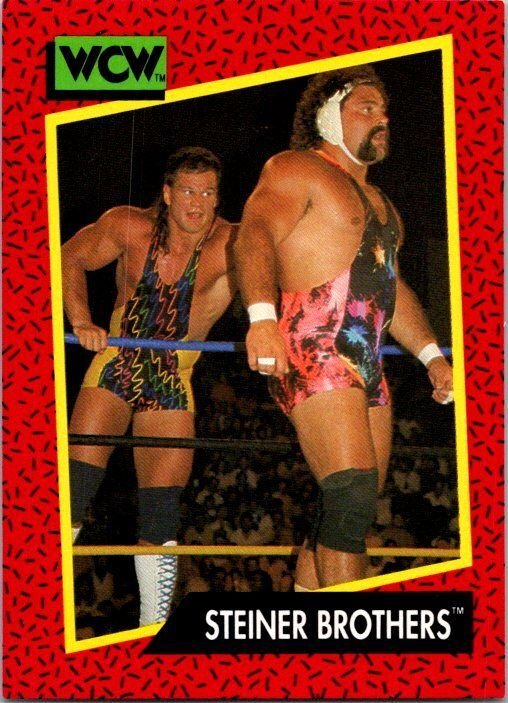 1991 WCW Wrestling Card Steiner Brothers sk21143