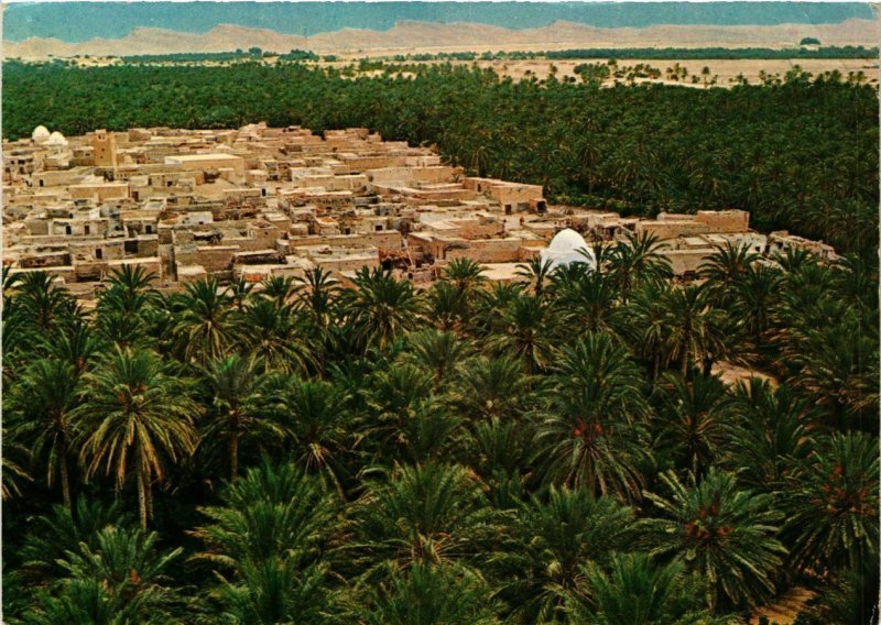 CPM AK TUNISIE TOZEUR - Vue générale (258599)