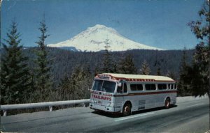 Mt. Hood Oregon OR Trailways Bus Chrome Vintage Postcard