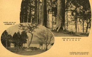 Japan - National Park Hakone. Two Views