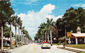 BRADENTON FLORIDA STATELY ROYAL PALMS LINE 14th ST~TAMIAMI TRAIL POSTCARD 1960