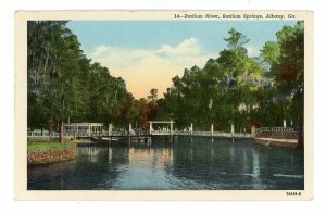 GA - Albany. Radium River, Radium Springs  (damage)