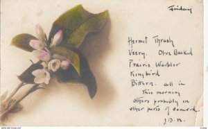 RP: Flower, Mass., 1917