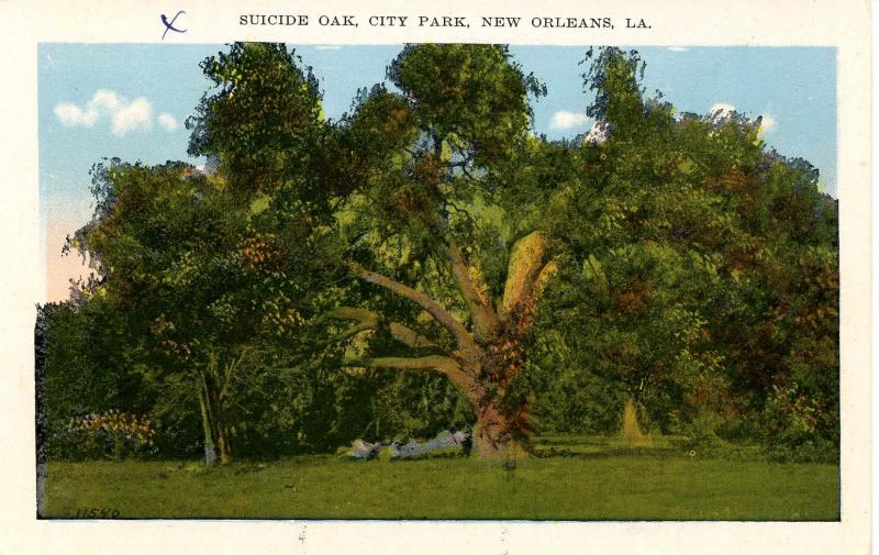 LA - New Orleans. Suicide Oak in City Park