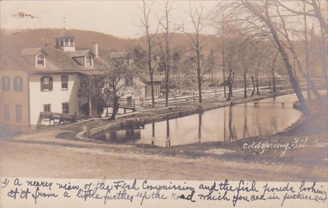 New York Long Island Cold Spring Fish Ponds Real Photo