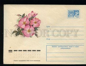 277543 USSR 1974 year Artsimenev dogrose flowers postal COVER