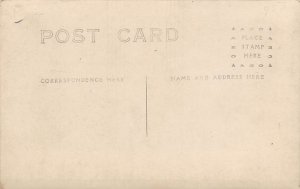 Black and White Photo Cow Postcard