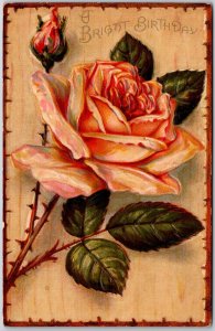 A Birthday Greetings, Beautiful Orange Rose Flower, Friendship, Vintage Postcard