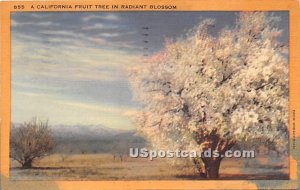 CA Fruit Tree - MIsc