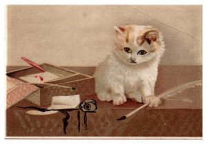 CAT   on Desk, Letters, feather pen