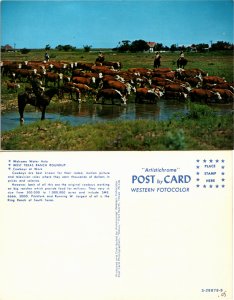 Cattle (23697