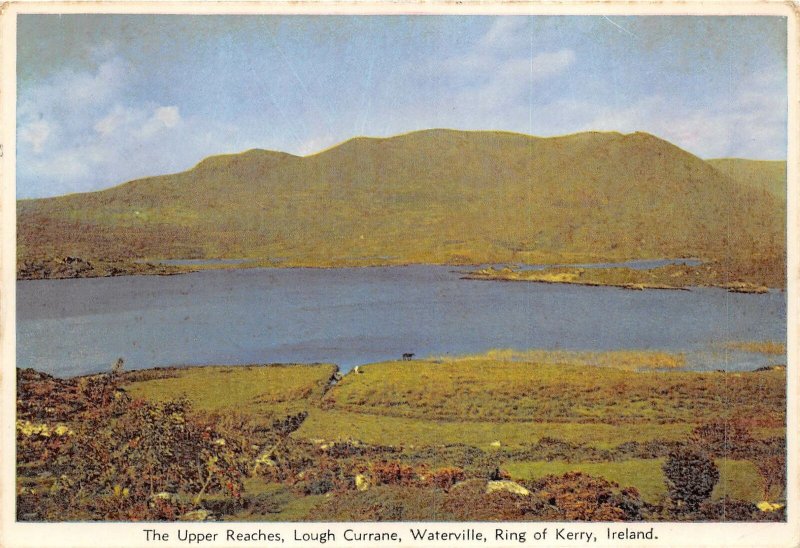 uk51800 upper reaches lough currane waterville ring of kerry ireland