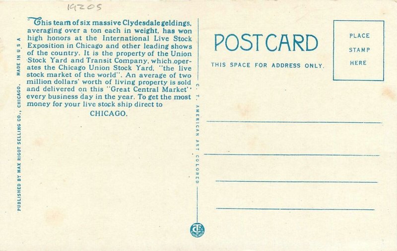 Postcard Illinois Chicago Union Stock Yards Six Horse Team Rigot Teich 23-8543
