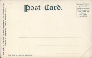 Tybee Island Georgia GA Lighthouse c1910 Vintage Postcard