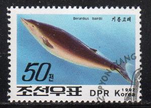 North Korea 3156 - Cto - Bottle-nosed Whale (1992) (cv $0.45)