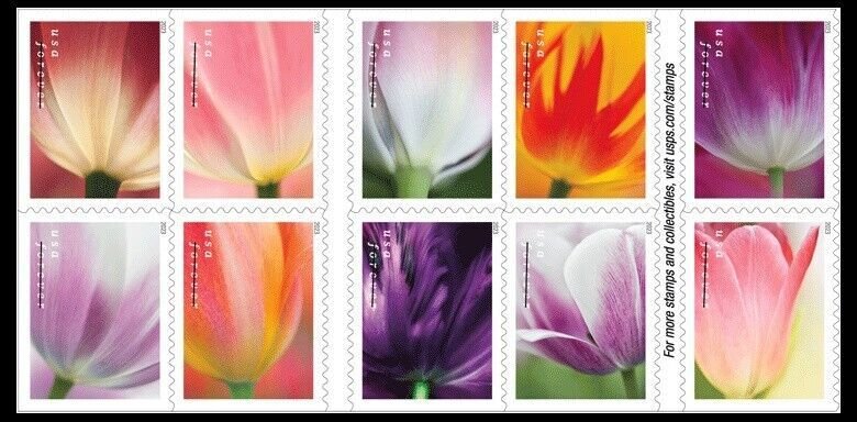 US 5767-5776 5776b Tulip Blossoms forever block (10 stamps) MNH 2023 Apr 10 