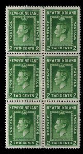 Newfoundland 254 MNH F-VF BLK of 6