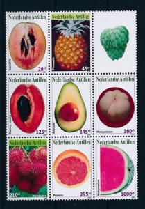 [NA1969] Netherlands Antilles 2009 Fruits  MNH