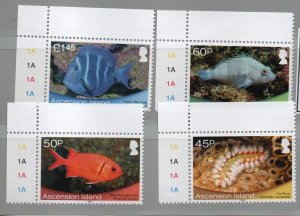 Ascension Islands 2013 Shallow Marine Life set of 4 - mint