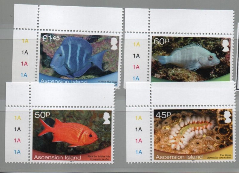 Ascension Islands 2013 Shallow Marine Life set of 4 - mint