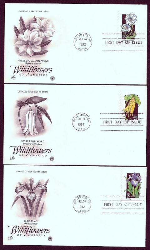 UNITED STATES FDCs (50) 29¢ Wildflowers 1992 Postal Commem