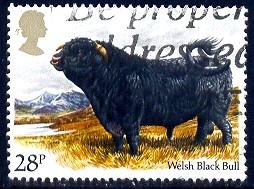 Welsh Black Bull, Great Britain stamp SC#1047 used